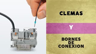 Clemas y bornes de conexion⚡🔌