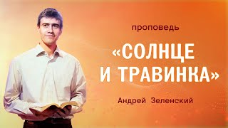 «СОЛНЦЕ И ТРАВИНКА» – Андрей Зеленский – Воскресное служение 16.06.2024