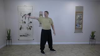 Medical Qigong:  Qigong for Joints--Shoulders and Spine