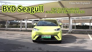 BYD Seagull: Electrifying the Commute on a Budget