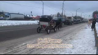 В Днепре заметили карету с лошадью