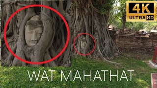 🌿Exploring the Mystical Wat Mahathat - Buddha Head in the Roots! 🧘‍♂️🌳