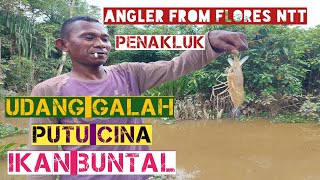 Mancing udang galah spot berau kalimantan timur