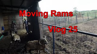 vlog 25