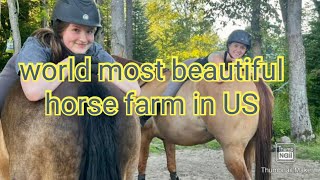 beautiful Horse farm in US | horses videos | horse farm | US horse farming | beautiful horse |