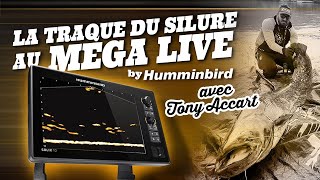 Traque du silure au sondeur Mega Live avec Tony Accart