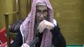 محمود عامر