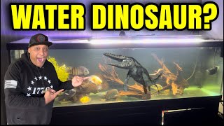 Rare Freshwater Dinosaur Fish!