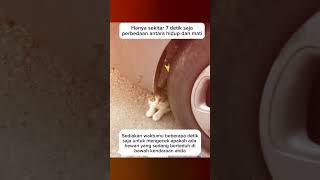 Attention‼️ #viral #videoviral #trending  #beranda #motivasi #katabijak #katacinta #katamotivasi