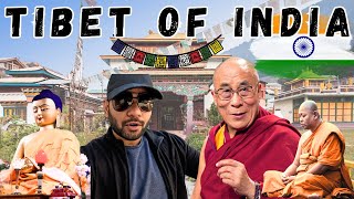 Dharamshala & McLeod Ganj In Tamil | Dalai Lama History | Tibet in India