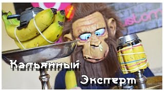 Нереальный кальян из 8-ми бананов! | Hookah on a Banana!