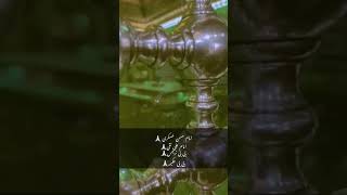 #imam hussain askari#imam ali Naki#bibi Narjas#bibi hakima#bautiful #video #mashallah #irak #😭😭😭😭