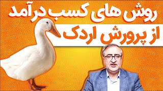 روش های کسب درآمد از پرورش اردک Methods of Earning Income from Duck Farming