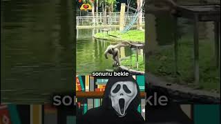 #shortvideo #kesfetteyiz #beniöneçıkart #wow #roblox #keşfet #rafadantayfa #pkxd #animals