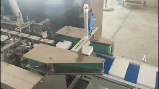 Carton packaging machine connect with shrinkable packaging machine