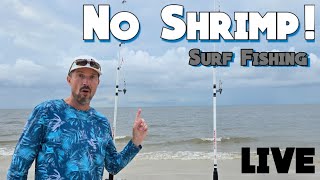 Can't use SHRIMP **Challenge** live! #fish #fishing #beach