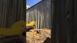 Oddly satisfying | Stump grinding by the gas line |