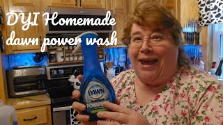 Discover the money-saving magic of homemade Dawn Power wash