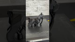 3d Printed | Schnauzer Dog  #shorts