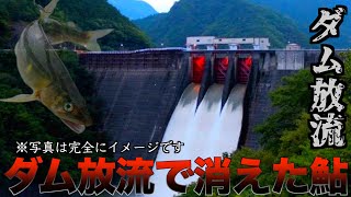 【三重県宮川上流】1トンの追加放流鮎で復活するか？現状調査