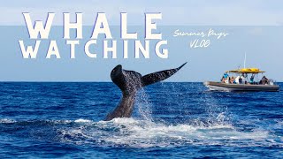 VLOG Humpback Whale Watching at Cape Cod, MA/ 혹등고래 만나러 가는 길_ 뉴욕근교/ 보스턴근교 여행 브이로그