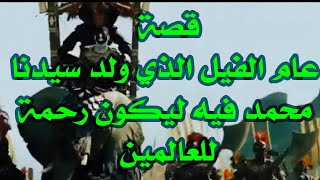 قصة عام الفيل الذي ولد سيدنا محمد صلى الله عليه وسلم فيه ليكون رحمة للعالمين