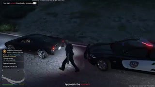 LSPDFR GTA5 First Successful Pit