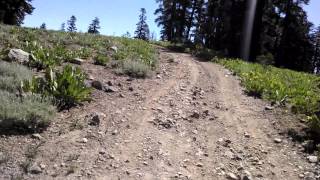 Stanislaus National Forest 19EV114 to Eagle Peak