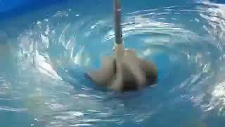 Small kaplan turbine generator hydro power video