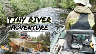 TINY & WILD River |  This new river didn't disappoint (Big pike, bass, and walleye)