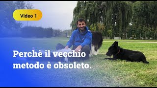 Perché il vecchio metodo è obsoleto e come richiamare il cane senza alzare il tono di voce..