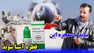 بیاید با معجزه این قطره آشنا شوید/عبدالباقی سلطانی/021Afghan Shawqi