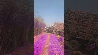 😱😰😭 ऊस वाहतुक विडिओ Tractor shorts  tractor sugarcane loding Shrots #shorts #ytshorts #youtubeshorts