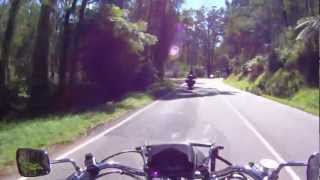 Black Spur Ride ( Moorandah Highway)