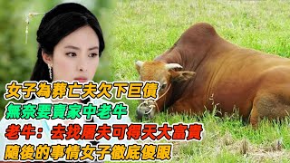 民間故事：女子為葬亡夫欠下巨債，無奈要賣家中老牛，老牛：去找屠夫可得天大富貴，隨後的事情女子徹底傻眼