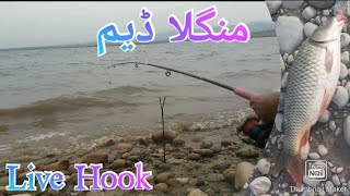 Fishing in Mangla Dam(Live hook)😱Catch Gulfam fish🐟منگلا ڈیم جڑی کس کا شکار#fishing#hook#shikari#