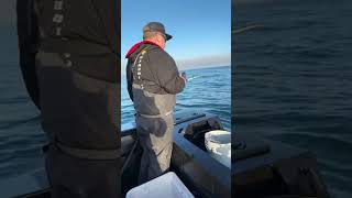 fishing pacific city live!