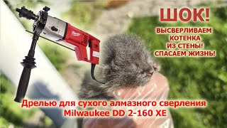 СПАСЕНИЕ КОТЕНКА Сверлим дрелью для сухого алмазного сверления MILWAUKEE DD2 - 160XE Diamond Hit