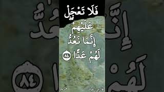 فارس عباد / فَلَا تَعْجَلْ عَلَيْهِمْ ۖ إِنَّمَا نَعُدُّ لَهُمْ عَدًّا