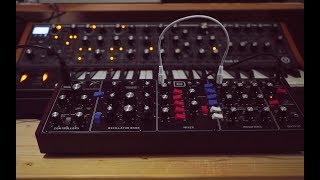 Behringer Model D vs. Moog Sub37 - comparing the sound (Riamiwo StudioVlog 89)