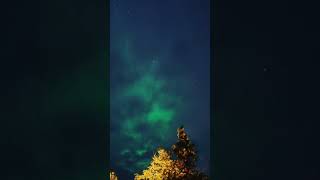 Northern Lights over Scott Lake  #shorts