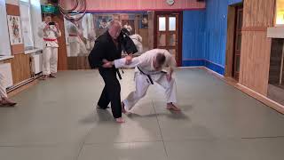 Heian Nidan Bunkai-kumite Nr. 5