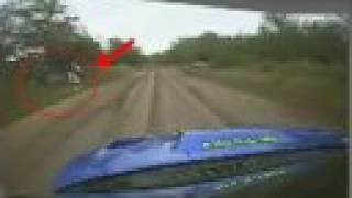 wrc argentina 2008 video oficial del wrc donde salgo yo