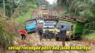 rintangan pasti ada, rombongan truk sawit pantang mundur melibas jalan sempit dan licin