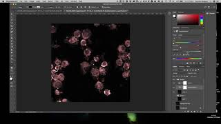 Basic PS editing for microscope images