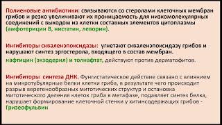 8:00-9:40 Арахноэнтомология