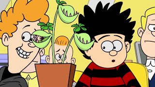 Plant Problems | Funny Episodes | Dennis and Gnasher