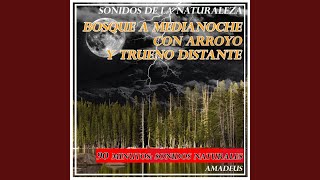 Bosque a Medianoche Con Arroyo y Trueno Distante: Sonidos de la Naturaleza (90 Minutos: Sonidos...