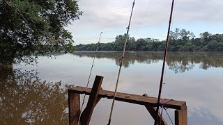 Se no rio estava fraco, acabei indo no pesqueiro que era do lado