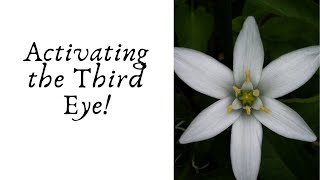 Activating the Third Eye... Tips and the Practice